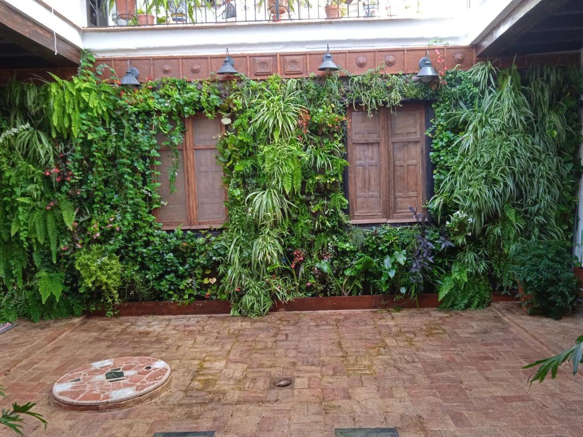 Curioso Apartamento Tipo Loft De 25 M Cuadrados Sanlúcar de Barrameda Exterior photo