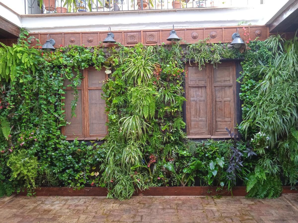 Curioso Apartamento Tipo Loft De 25 M Cuadrados Sanlúcar de Barrameda Exterior photo